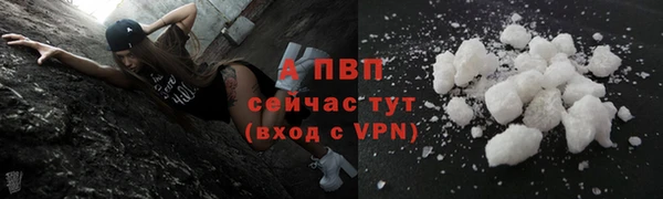 гашик Нефтегорск
