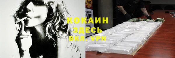 прущие грибы Анива