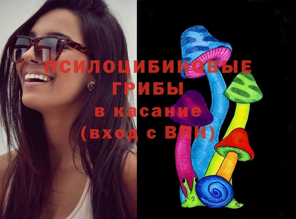 гашик Нефтегорск