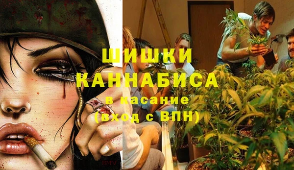 гашик Нефтегорск